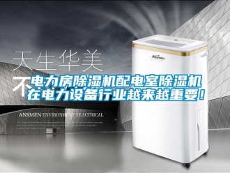 企業(yè)新聞電力房除濕機(jī)配電室除濕機(jī)在電力設(shè)備行業(yè)越來越重要！