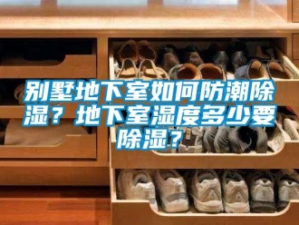 企業(yè)新聞別墅地下室如何防潮除濕？地下室濕度多少要除濕？