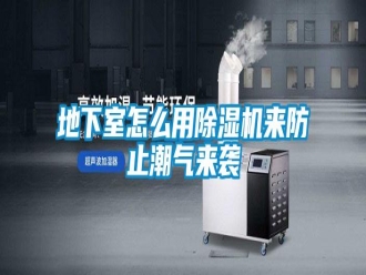 常見(jiàn)問(wèn)題地下室怎么用除濕機(jī)來(lái)防止潮氣來(lái)襲