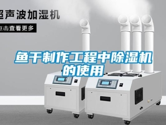 知識(shí)百科魚(yú)干制作工程中除濕機(jī)的使用
