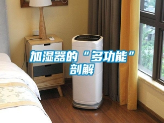 行業(yè)新聞加濕器的“多功能”剖解