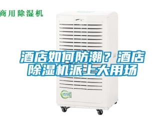 常見問題酒店如何防潮？酒店除濕機(jī)派上大用場(chǎng)