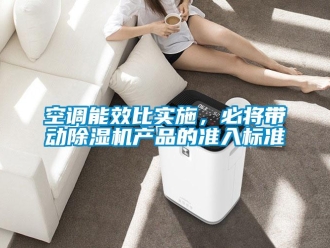 行業(yè)新聞空調能效比實施，必將帶動除濕機產(chǎn)品的準入標準
