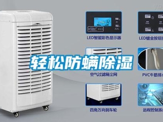 行業(yè)新聞?shì)p松防螨除濕