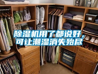 企業(yè)新聞除濕機(jī)用了都說好，可讓潮濕消失殆盡