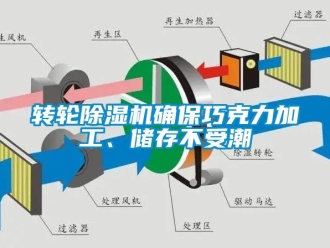 知識百科轉(zhuǎn)輪除濕機(jī)確保巧克力加工、儲存不受潮