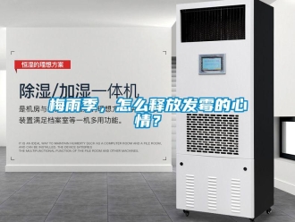 常見問題梅雨季，怎么釋放發(fā)霉的心情？