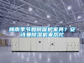 企業(yè)新聞梅雨季節(jié)如何保護家具？安詩曼除濕機來幫忙