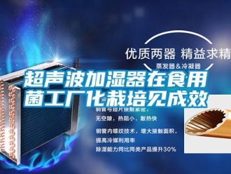企業(yè)新聞超聲波加濕器在食用菌工廠化栽培見成效
