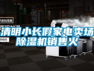 行業(yè)新聞清明小長(zhǎng)假家電賣場(chǎng)除濕機(jī)銷售火