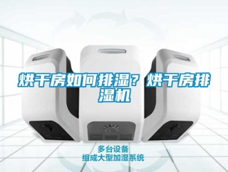 常見(jiàn)問(wèn)題烘干房如何排濕？烘干房排濕機(jī)