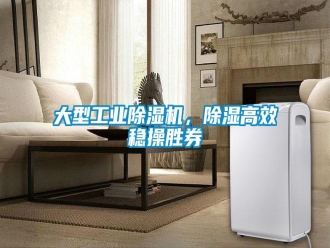企業(yè)新聞大型工業(yè)除濕機(jī)，除濕高效穩(wěn)操勝券