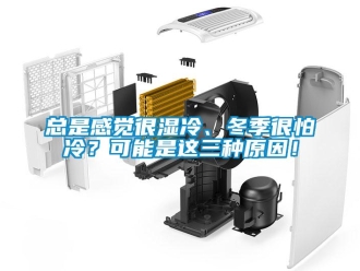 知識百科總是感覺很濕冷、冬季很怕冷？可能是這三種原因！