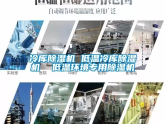 行業(yè)新聞冷庫除濕機 低溫冷庫除濕機  低溫環(huán)境專用除濕機