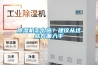 除濕機(jī)怎么選？建議從這些方面入手