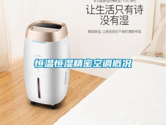 行業(yè)新聞恒溫恒濕精密空調(diào)概況