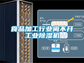 知識百科食品加工行業(yè)離不開工業(yè)除濕機(jī)
