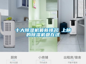 行業(yè)新聞十大除濕機最新排名 上榜的除濕機都在這