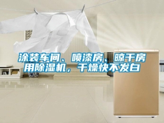 知識(shí)百科涂裝車間、噴漆房、晾干房用除濕機(jī)，干燥快不發(fā)白