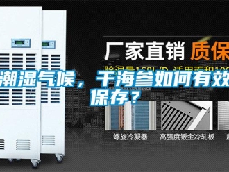 常見(jiàn)問(wèn)題潮濕氣候，干海參如何有效保存？