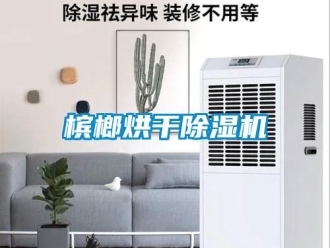 常見問題檳榔烘干除濕機(jī)