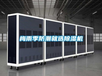 行業(yè)新聞梅雨季防潮就選除濕機(jī)