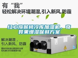 行業(yè)新聞紅心獼猴桃冷庫加濕機(jī)，奇異果增濕保鮮方案
