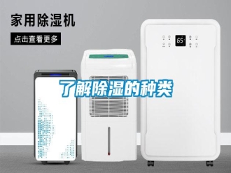 行業(yè)新聞了解除濕的種類
