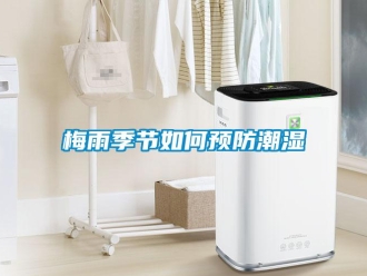 常見(jiàn)問(wèn)題梅雨季節(jié)如何預(yù)防潮濕