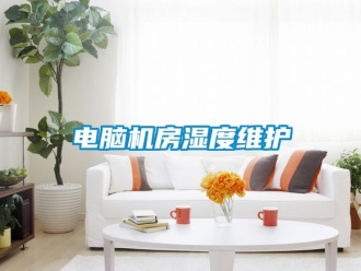 企業(yè)新聞電腦機(jī)房濕度維護(hù)