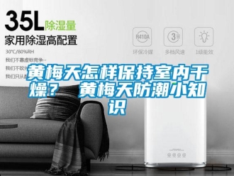 常見問題黃梅天怎樣保持室內(nèi)干燥？ 黃梅天防潮小知識