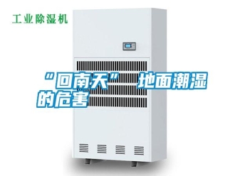 常見問題“回南天” 地面潮濕的危害