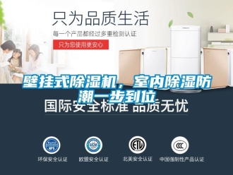 常見問題壁掛式除濕機(jī)，室內(nèi)除濕防潮一步到位