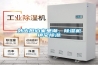 外出擔(dān)心家里潮，除濕機鎮(zhèn)宅除濕