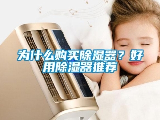 行業(yè)新聞為什么購買除濕器？好用除濕器推薦