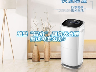 常見問題墻壁“冒水”,回南天太潮濕這可怎么辦？