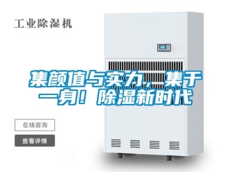 行業(yè)新聞集顏值與實力，集于一身！除濕新時代