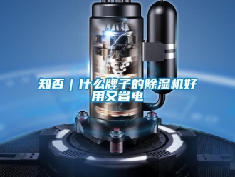 知識(shí)百科知否｜什么牌子的除濕機(jī)好用又省電