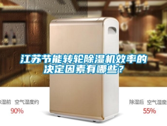 行業(yè)新聞江蘇節(jié)能轉(zhuǎn)輪除濕機(jī)效率的決定因素有哪些？