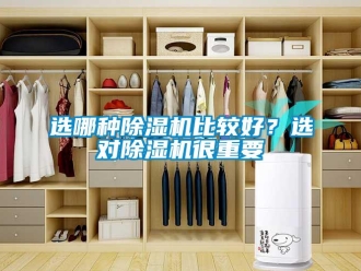 知識百科選哪種除濕機比較好？選對除濕機很重要