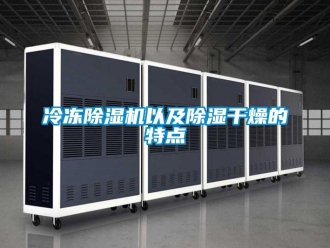 行業(yè)新聞冷凍除濕機(jī)以及除濕干燥的特點(diǎn)