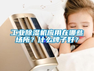 企業(yè)新聞工業(yè)除濕機應(yīng)用在哪些場所？什么牌子好？
