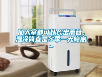 知識百科仙人掌都可以長出蘑菇，濕冷簡直是冬季一大隱患~