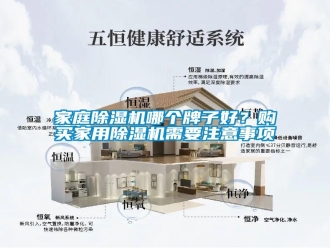 行業(yè)新聞家庭除濕機哪個牌子好？購買家用除濕機需要注意事項