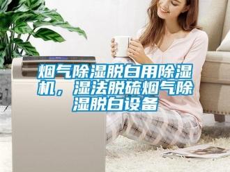 知識百科煙氣除濕脫白用除濕機，濕法脫硫煙氣除濕脫白設(shè)備