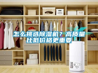 常見問題怎么挑選除濕機(jī)？高質(zhì)量比低價(jià)格更重要