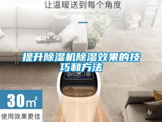 知識百科提升除濕機(jī)除濕效果的技巧和方法