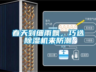 企業(yè)新聞春天到細(xì)雨飄，巧選除濕機(jī)來(lái)防潮