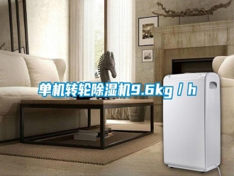企業(yè)新聞單機(jī)轉(zhuǎn)輪除濕機(jī)9.6kg／h