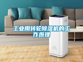 企業(yè)新聞工業(yè)用轉(zhuǎn)輪除濕機(jī)的工作原理